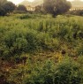 foto 0 - Terreno agricolo per uso orto a Palermo in Affitto