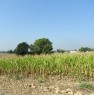 foto 12 - Da privato terreno agricolo a Sarmato a Piacenza in Vendita