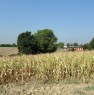 foto 11 - Da privato terreno agricolo a Sarmato a Piacenza in Vendita
