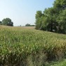foto 8 - Da privato terreno agricolo a Sarmato a Piacenza in Vendita