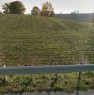 foto 6 - Da privato terreno agricolo a Sarmato a Piacenza in Vendita