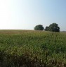 foto 2 - Da privato terreno agricolo a Sarmato a Piacenza in Vendita