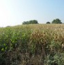 foto 1 - Da privato terreno agricolo a Sarmato a Piacenza in Vendita