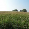 foto 0 - Da privato terreno agricolo a Sarmato a Piacenza in Vendita