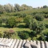 foto 0 - Terreno agricolo a Carpi a Modena in Vendita