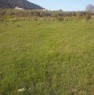 foto 17 - Terreno agricolo localit Cerriole a Salerno in Vendita