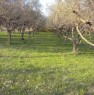 foto 8 - Terreno agricolo localit Cerriole a Salerno in Vendita