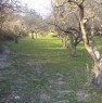 foto 7 - Terreno agricolo localit Cerriole a Salerno in Vendita