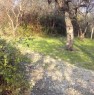 foto 6 - Terreno agricolo localit Cerriole a Salerno in Vendita