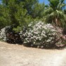 foto 12 - Casa mare parco naturale del Salento a Lecce in Affitto