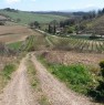 foto 1 - Terreno agricolo Percenna Strada Pieve a Salti a Siena in Vendita