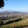 foto 5 - Agriturismo a Poggio Moiano a Rieti in Vendita