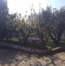 foto 2 - Villetta collinare sulla Selva di Fasano a Brindisi in Affitto