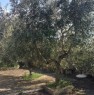 foto 1 - Villetta collinare sulla Selva di Fasano a Brindisi in Affitto