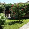 foto 6 - Simius casa vacanza a Cagliari in Affitto