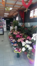 Annuncio vendita Negozio di fiori Ottavia Trionfale