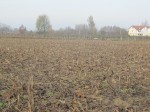Annuncio vendita Terreno agricolo seminativo Padova