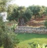 foto 0 - Terreno agricolo a Macchia di Monte Sant'Angelo a Foggia in Vendita
