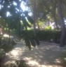 foto 0 - Marina di Pulsano zona Canne villa a Taranto in Affitto