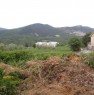 foto 3 - Zona Pianelle terreno edificabile a Isernia in Vendita