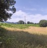 foto 8 - Seminativi piani dell'aspromonte Agro di Scilla a Reggio di Calabria in Vendita