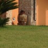 foto 5 - Carpignano Salentino villa con pineta e piscina a Lecce in Affitto