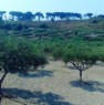 foto 2 - Ribera localit Seccagrande terreno a Agrigento in Vendita