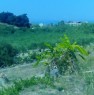 foto 1 - Ribera localit Seccagrande terreno a Agrigento in Vendita