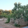 foto 9 - Ceglie Messapica trulli ristrutturati a Brindisi in Affitto
