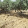 foto 1 - Terreno vicino il mare zona Pergole a Agrigento in Vendita