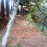 foto 7 - Condr Serrastretta rustico in montagna a Catanzaro in Vendita