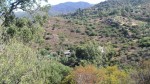 Annuncio vendita Terreno in localit Monti Nieddu