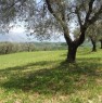 foto 2 - Castelliri terreno edificabile a Frosinone in Vendita