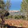 foto 1 - Terreno agricolo oliveto tra Lascari e Gratteri a Palermo in Vendita
