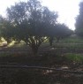 foto 0 - A Monastir terreno agricolo a Cagliari in Vendita
