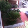 foto 9 - Ad Avola villetta con terrazza vista mare a Siracusa in Vendita