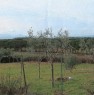 foto 0 - Terreno agricolo situato in localit Santa Corinna a Grosseto in Vendita
