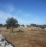 foto 1 - Morciano di Leuca terreno con trullo a Lecce in Vendita