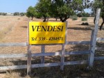 Annuncio vendita Comiso zona Villa Paola terreno agricolo