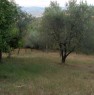 foto 2 - Montecalvo Irpino rustico a Avellino in Vendita