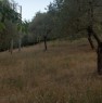 foto 1 - Montecalvo Irpino rustico a Avellino in Vendita