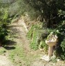 foto 3 - Montorio Mizzole terreno con oliveto e bosco a Verona in Vendita