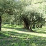 foto 2 - Montorio Mizzole terreno con oliveto e bosco a Verona in Vendita