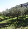 foto 0 - Montorio Mizzole terreno con oliveto e bosco a Verona in Vendita
