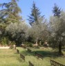 foto 7 - Montopoli di Sabina villino di campagna a Rieti in Vendita