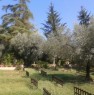 foto 5 - Montopoli di Sabina villino di campagna a Rieti in Vendita