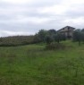 foto 5 - Guidonia terreno agricolo con oliveto a Roma in Vendita