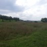 foto 4 - Guidonia terreno agricolo con oliveto a Roma in Vendita