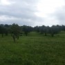 foto 0 - Guidonia terreno agricolo con oliveto a Roma in Vendita
