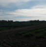 foto 4 - Terreno agricolo in Contrada Lenzi ad Erice a Trapani in Vendita
